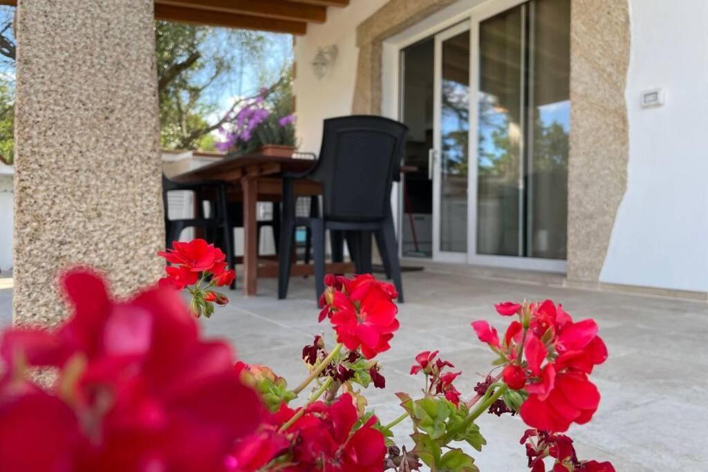 Giorgia&Greta- Relax Casa Vacanze Olbia Zewnętrze zdjęcie